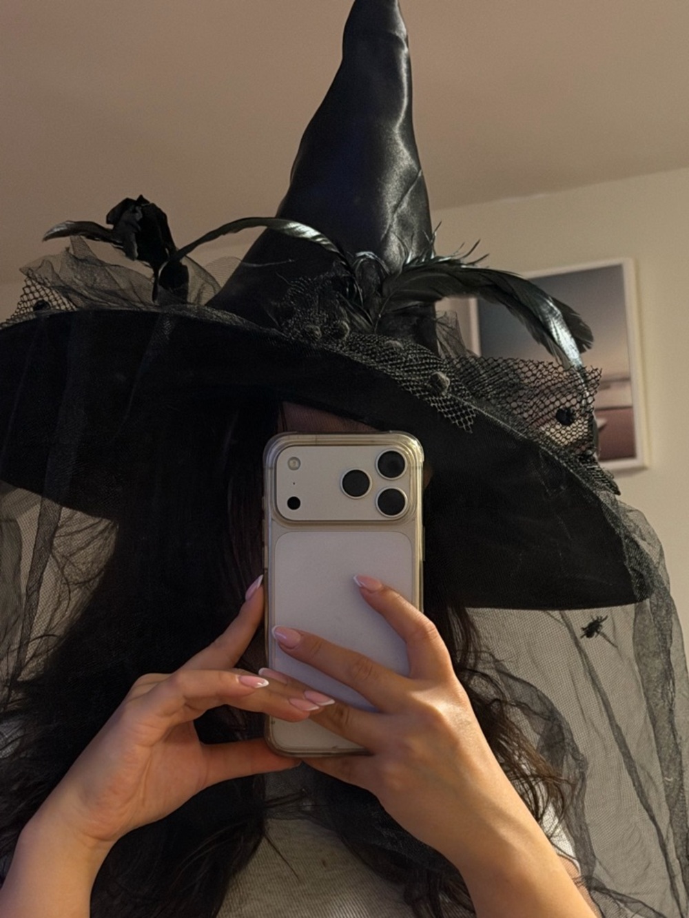 Black Witch Hat with Veil and Feather Accents